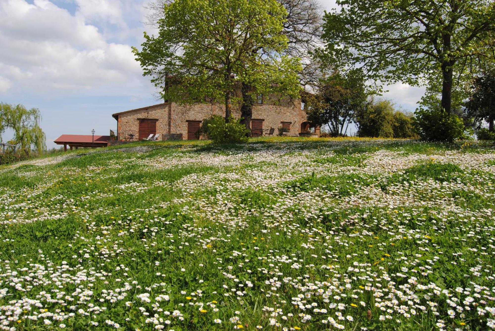 Agriturismo Cornieto Monteleone dʼOrvieto Екстериор снимка