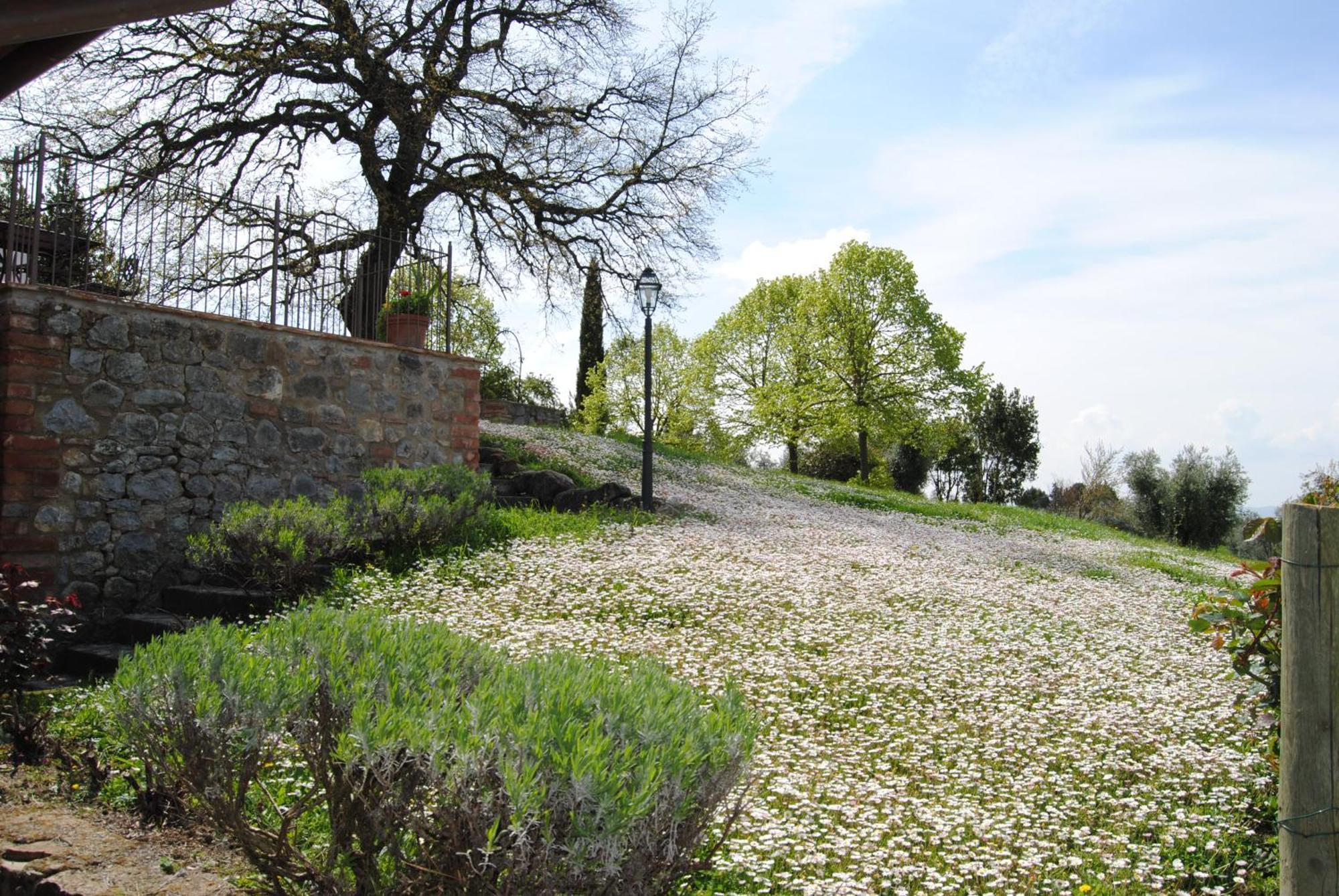 Agriturismo Cornieto Monteleone dʼOrvieto Екстериор снимка