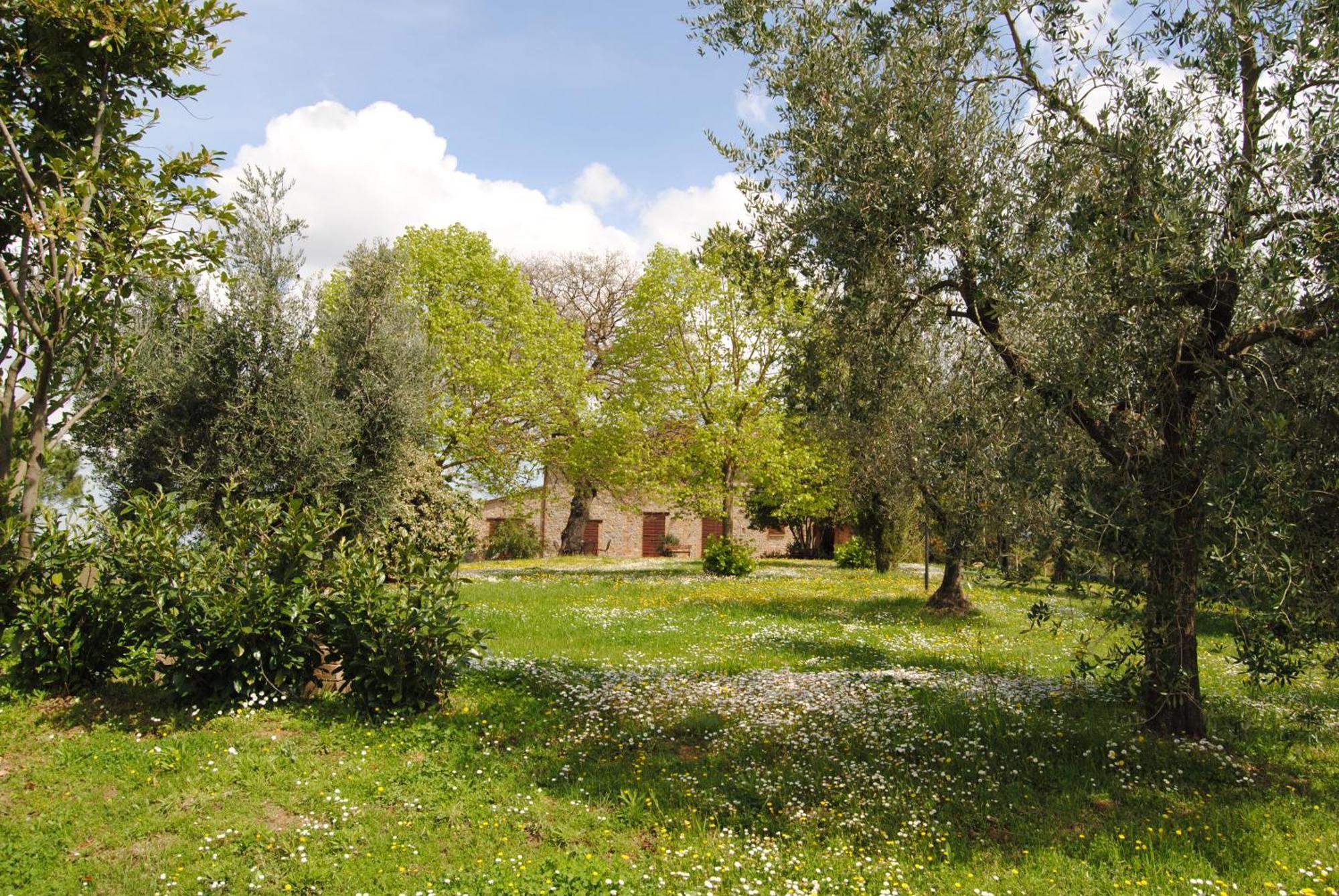 Agriturismo Cornieto Monteleone dʼOrvieto Екстериор снимка